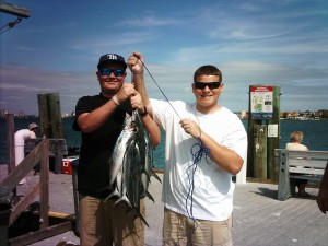 Stringer of Mackerel in 2011
